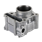 Original cylinder X Max 300