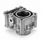 Original cylinder X Max 300